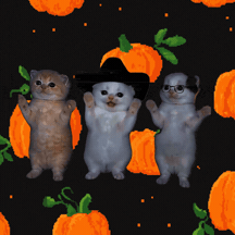 Pumpkin Spice Lol GIF by LA CALABAZA DAILY